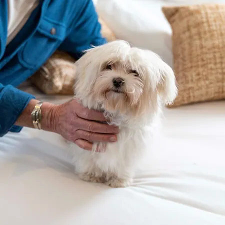 Madame Drouot & - Opera فندق 4*