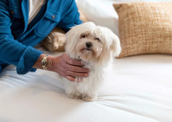 Madame Drouot & - Opera Hotel 4*